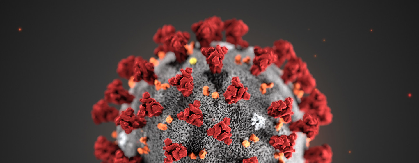 OFA’s response to COVID-19
